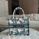 DIOR 디올 오블리크 스몰 북 토트백 M1286