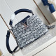 LOUIS VUITTON 루이비통 카푸신 미니 M12960